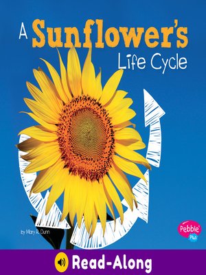 cover image of A Sunflower's Life Cycle